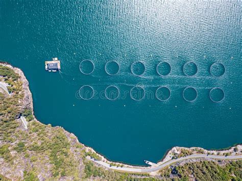 Farm Salmon Fishing in Norway Aerial Photography. Stock Photo - Image of fish, farm: 161094382