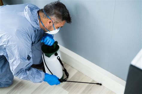 Are Pest Control Services Worth the Money? | Hunker