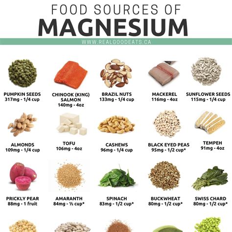 Food Sources of Magnesium PDF Download