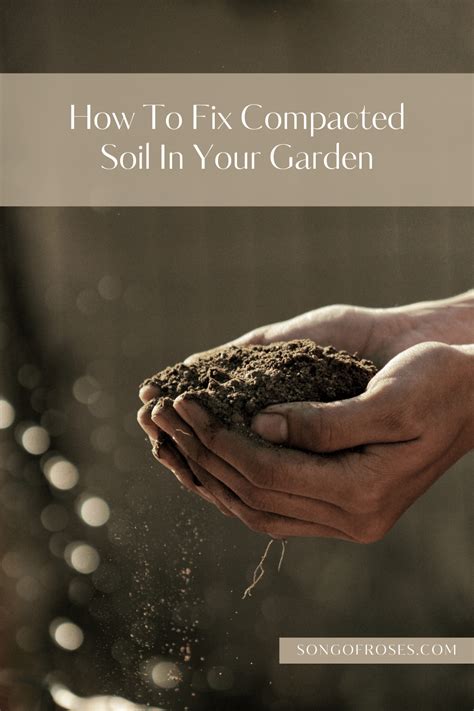 Compacted soil causes and solutions – Artofit