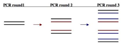 BE.109:Systems engineering/RT-PCR data analysis - OpenWetWare