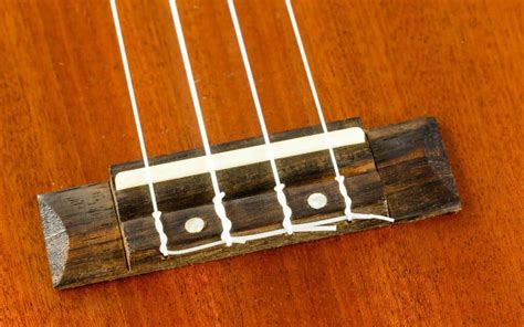 Beginner's Guide to the Parts of Ukulele Anatomy You Need to Know