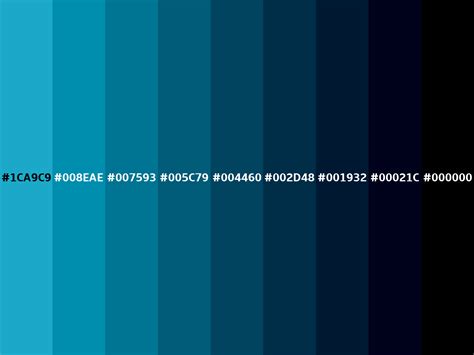 Pacific blue color (Hex 1CA9C9)