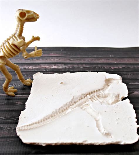 DIY Dinosaur Fossil Craft - Clever Pink Pirate | Dinosaur, Daycare crafts, Dinosaur fossils