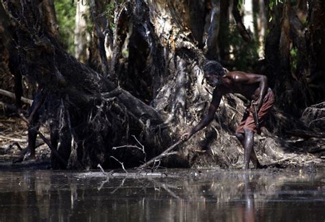 Australian Aboriginal hunter Roy Gaykamangu of the Yolngu people uses a stick to try and find a ...