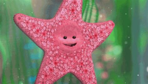 Starfish GIFs - Find & Share on GIPHY