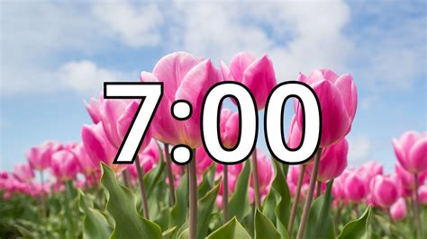 7 Minutes Timer with Music | Spring Timer - YouTube