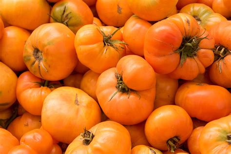 'Amana Orange' Tomato Seeds — Decker Rd. Seeds