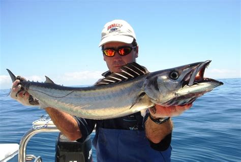 Snoek Fishing Charters In Hout Bay In Cape Town Hooked On Africa 3 | Fishing charters, Hout bay ...