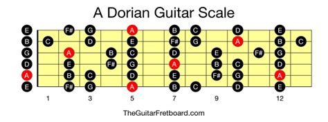 A Dorian Guitar Scale - The Guitar Fretboard