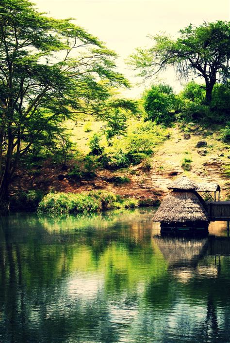 Kenya Photography Kenya Landscape Countryside Trees - Etsy