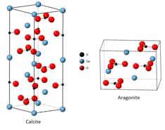 Calcium carbonate - Wikipedia