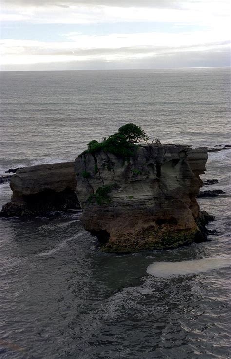 New Zealand - Paparoa National Park | Travel blog OnTourWorld