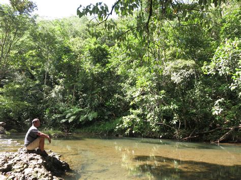 Birding Destination: Samar Island Natural Park – Wild Bird Club of the Philippines