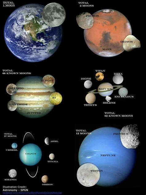 Solar System Planets With Moons Vector Education Diag - vrogue.co