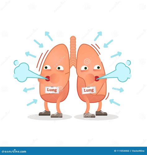 Top 102+ Mechanism of breathing in humans animation - Merkantilaklubben.org