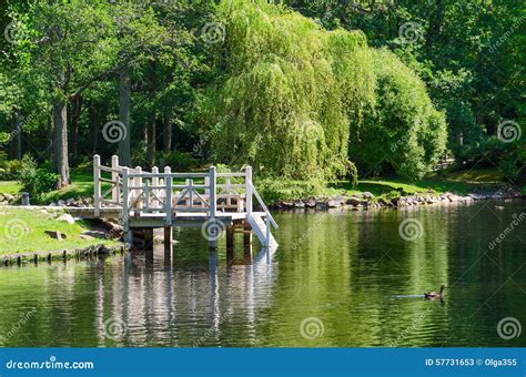 Pond in the Botanical Park of Palanga Stock Image - Image of nature ...