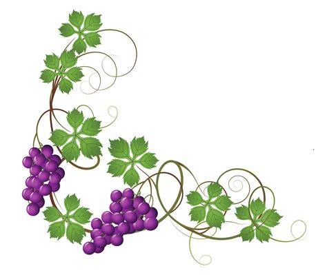 Purple Flower Vine Clipart - ClipArt Best