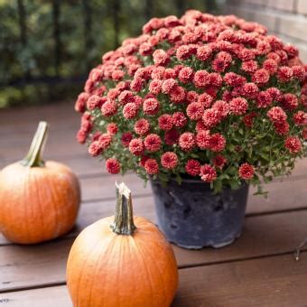 30 Fall Porch Decor Ideas for the Warmest of Welcomes | LoveToKnow