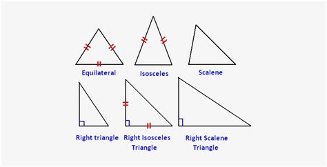 Scalene And Acute Triangle, Medial Triangles : The scalene muscles on ...