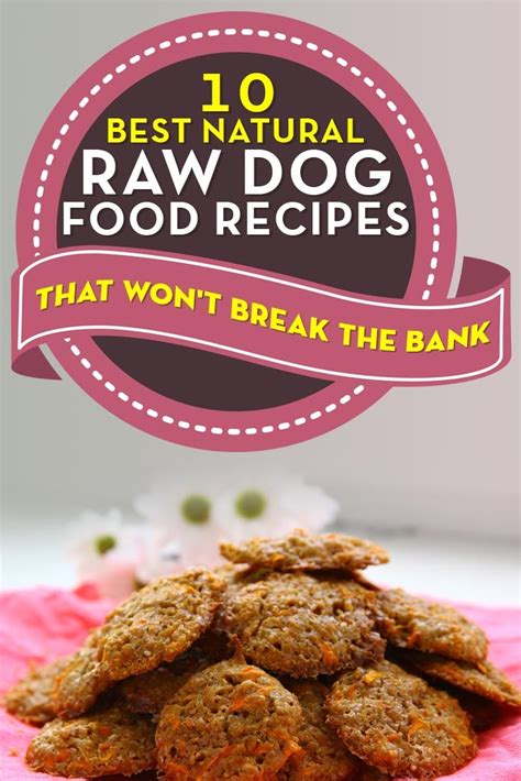 10 Best Natural Homemade Raw Dog Food Recipes (Photos and Videos)