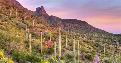 Picacho Peak State Park