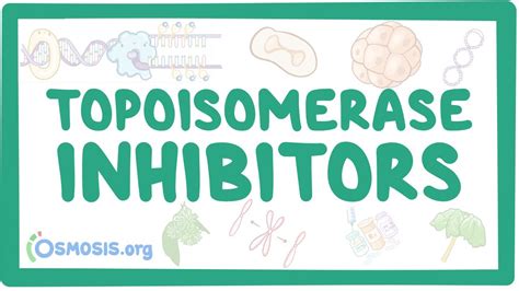 Topoisomerase inhibitors: Video, Causes, & Meaning | Osmosis