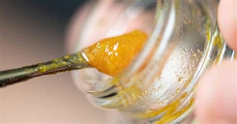 How To Make Live Resin | Extraction Equipment and Step-by-Step