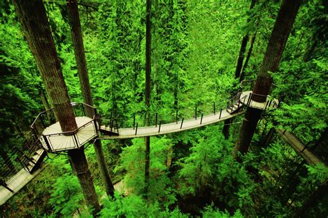 Capilano Suspension Bridge