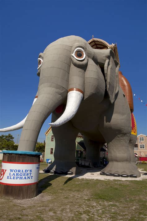 Lucy the Elephant: A Gigantic Adventure in New Jersey