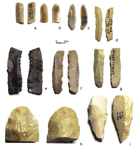 5. Chalcolithic artifacts. (a) Backed blade sickle segment, (b-c ...