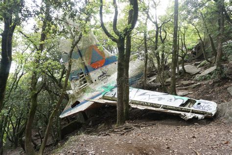 Wreckage of Douglas DC-6 Plane in Woodlands Near Cantallops, Spain ...