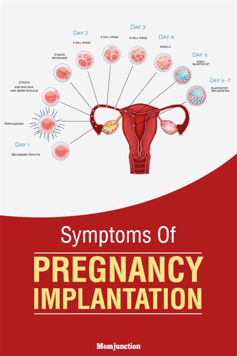 Early Pregnancy Implantation Bleeding