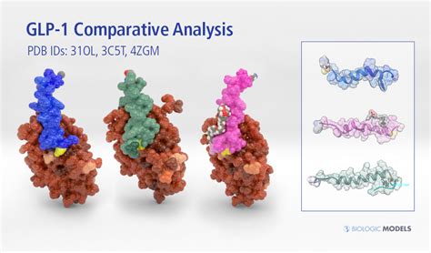 GLP-1 Comparative Analysis - Biologic Models