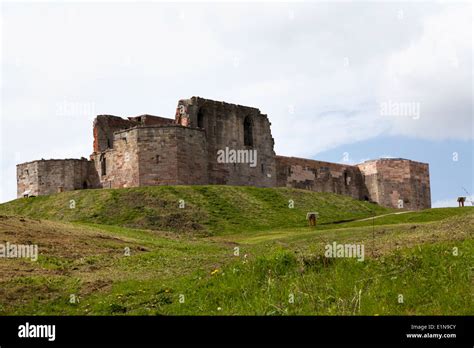 UK, Staffordshire, Stafford, the castle ruins showing recent renovation work to the walls Stock ...