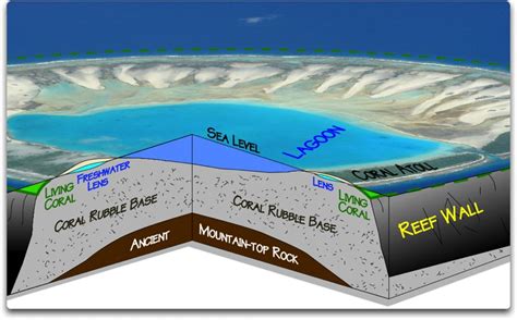 Alarmists are just now discovering 'Dynamic Atolls' – Watts Up With That?