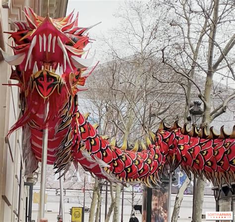 Chinese New Year parade in Paris at Faubourg Saint-Honoré 2024 ...