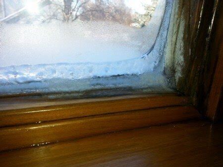 Controlling Window Condensation - Structure Tech Home Inspections