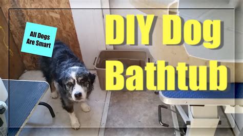 DIY Dog Bathtub - YouTube