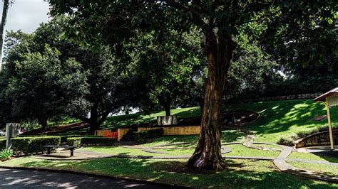 Newstead Park - Concrete Playground