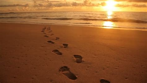 Footprints In The Sand At Beach, Sunset Stock Footage Video 4594871 - Shutterstock