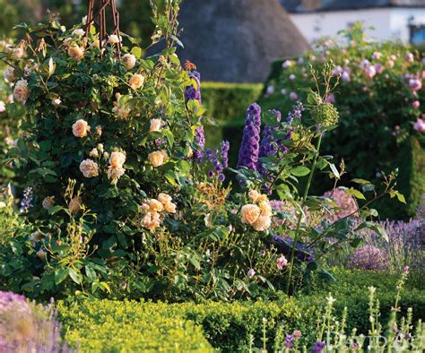 Landscaping with roses: 8 techniques to try | Homes & Gardens