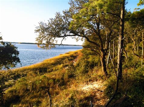 Carolina Beach: About the Park | NC State Parks