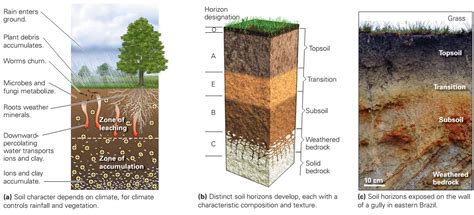 Soil ~ Learning Geology