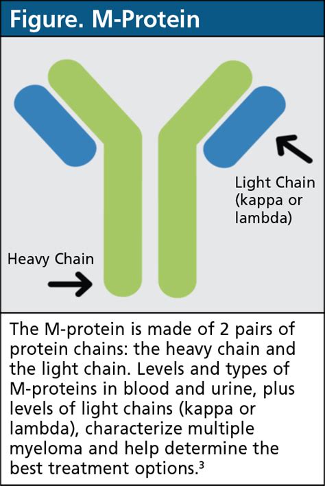 Kappa Free Light Chain Multiple Myeloma Icd 10 | Americanwarmoms.org