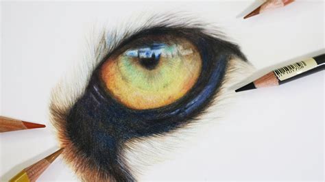 How to Draw a Realistic Tiger Eye | Coloured Pencil Drawing Tutorial - YouTube