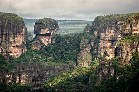 Kolumbien schafft größtes Regenwald-Schutzgebiet der Welt - energiezukunft