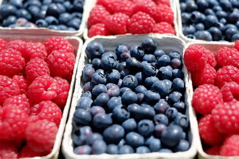 Free picture: raspberry, fruit, blueberry, blackberry, food, market, berry