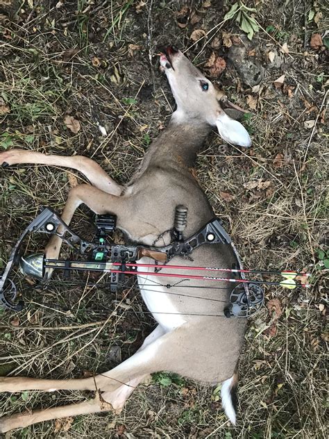 Shot my first deer with a bow! Went on a public land out of state hunt in Kentucky. Crazy hot ...