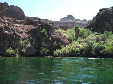 Colorado River’s Black Canyon boasts beauty, wildlife, history | Las ...